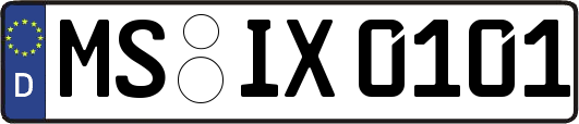 MS-IX0101