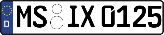 MS-IX0125