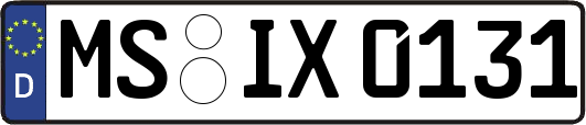 MS-IX0131