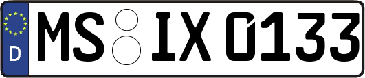 MS-IX0133