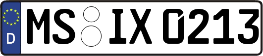 MS-IX0213