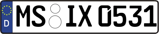 MS-IX0531