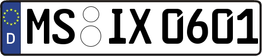 MS-IX0601