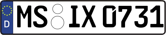 MS-IX0731
