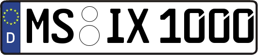 MS-IX1000