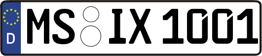MS-IX1001