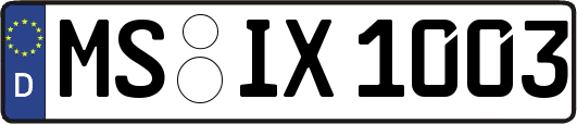 MS-IX1003