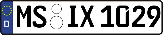 MS-IX1029