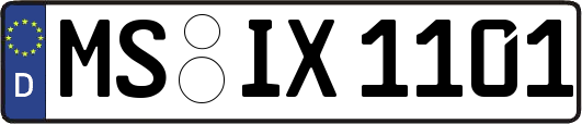MS-IX1101