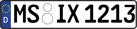 MS-IX1213