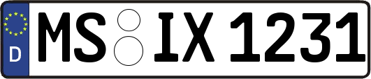 MS-IX1231