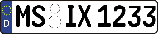 MS-IX1233