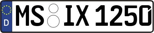 MS-IX1250