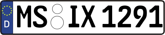 MS-IX1291