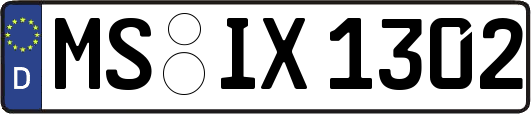 MS-IX1302