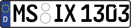 MS-IX1303