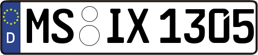 MS-IX1305
