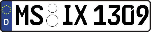 MS-IX1309