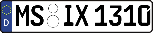 MS-IX1310