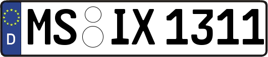 MS-IX1311