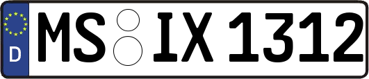 MS-IX1312