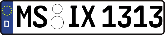 MS-IX1313