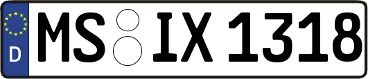 MS-IX1318