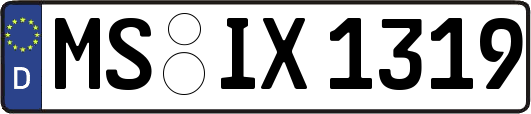 MS-IX1319