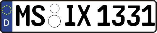 MS-IX1331