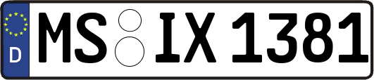 MS-IX1381