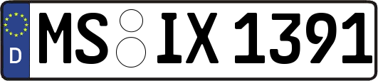 MS-IX1391