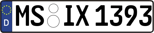 MS-IX1393