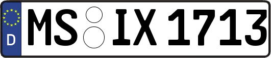 MS-IX1713