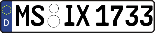 MS-IX1733