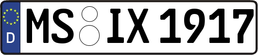 MS-IX1917