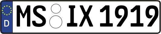 MS-IX1919