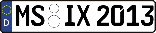 MS-IX2013