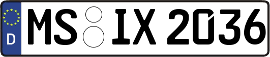 MS-IX2036