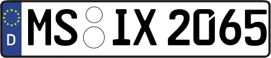 MS-IX2065
