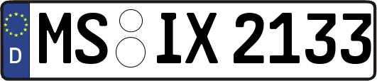 MS-IX2133
