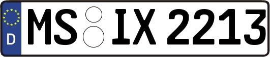 MS-IX2213
