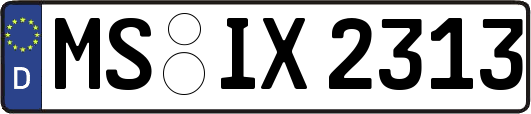 MS-IX2313