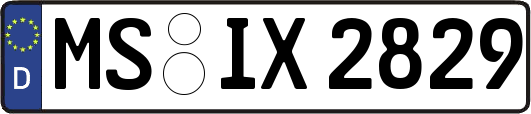 MS-IX2829