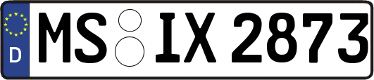 MS-IX2873