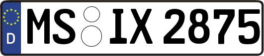 MS-IX2875