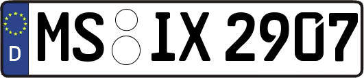 MS-IX2907