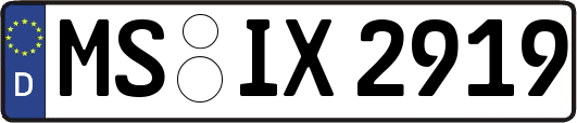 MS-IX2919