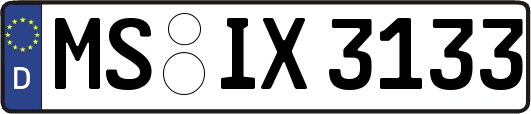 MS-IX3133