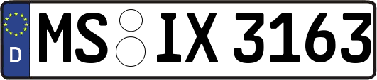 MS-IX3163