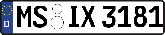 MS-IX3181